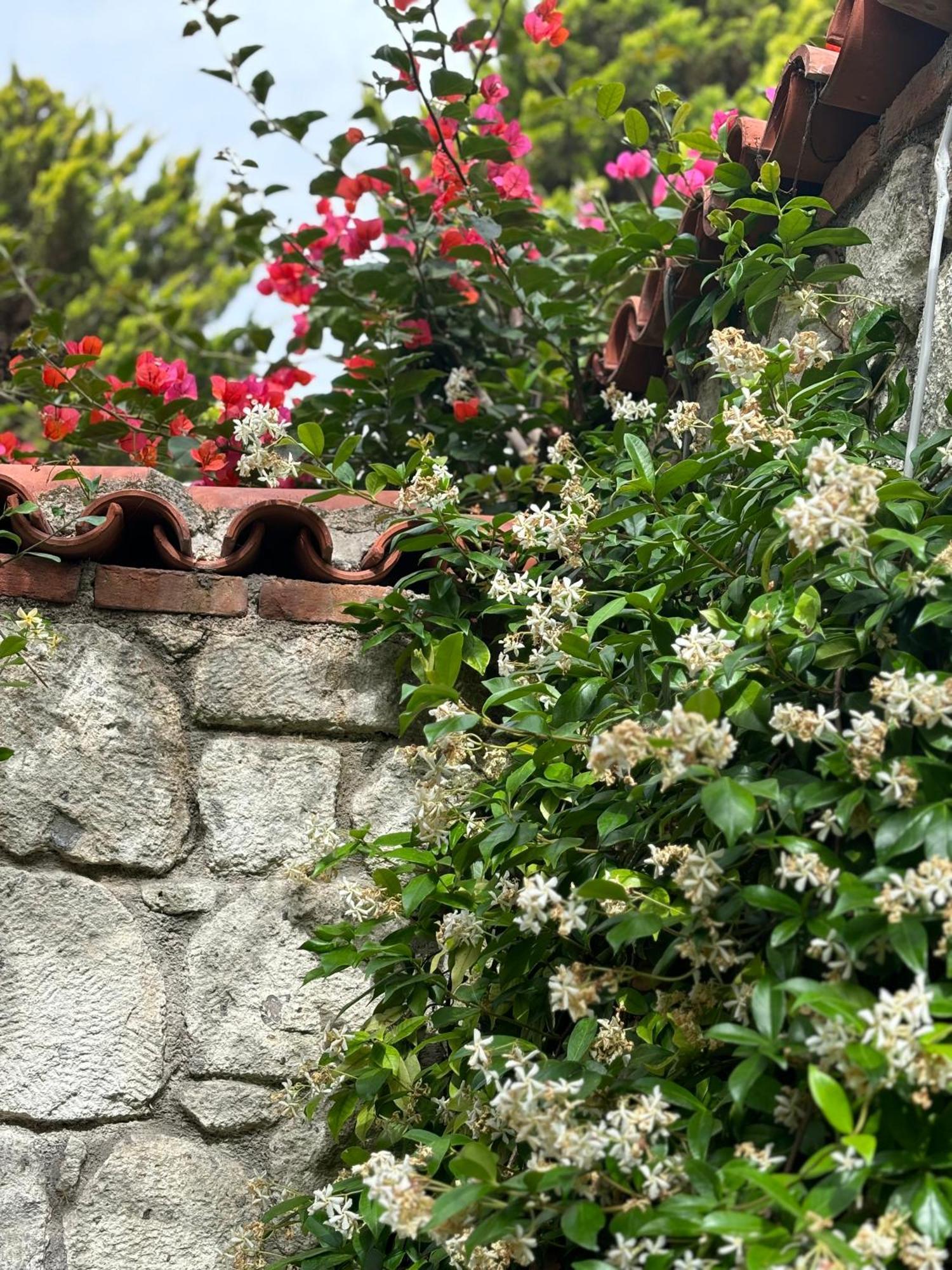 Tasdelen Hotel Alaçatı Esterno foto
